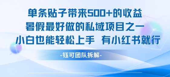 单条贴子带来5张的收益，暑假最好做的私域项目之一，小白也能轻松上手，有小红书就行-59网创