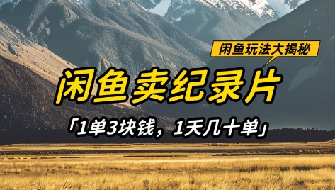 闲鱼卖纪录片1单3块钱,1天几十单,项目稳定有潜力-59网创