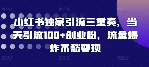 小红书独家引流三重奏，当天引流100+创业粉，流量爆炸不愁变现【揭秘】-59网创