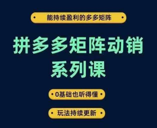 拼多多矩阵动销系列课,能持续盈利的多多矩阵,0基础也听得懂,玩法持续更新