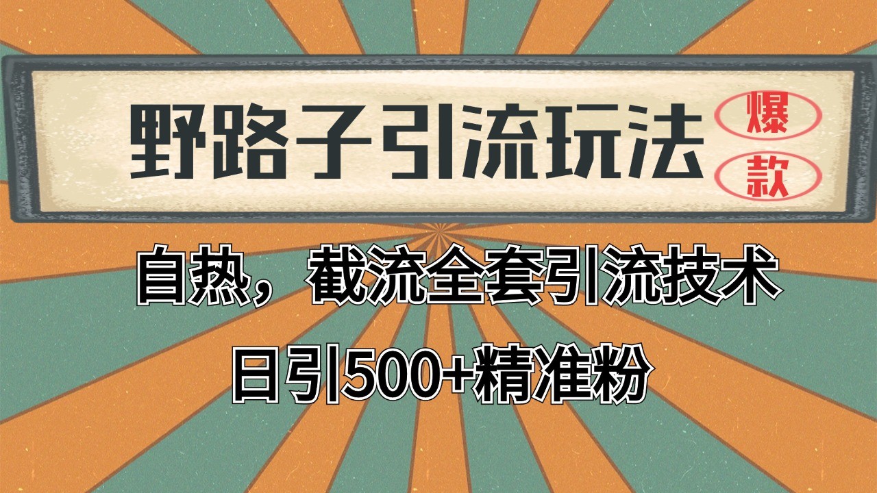 2024首发野路子引流玩法截流自热全平台打法，全自动引流【日引2000+精准客户】-59网创