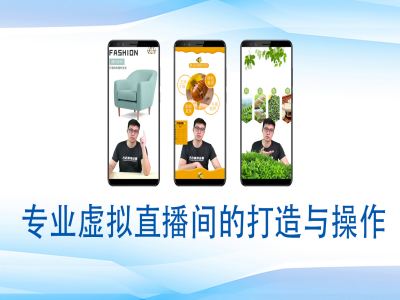 个人虚拟直播间的搭建与操作，专业虚拟直播间的打造与操作-59网创