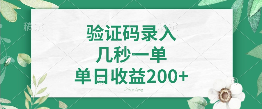验证码录入，几秒一单，单日收益200+-59网创