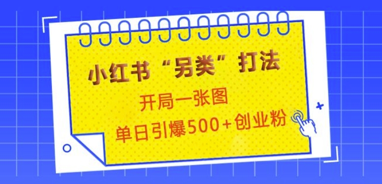 小红书“另类”打法,开局一张图,单日引爆500+精准创业粉【揭秘】
