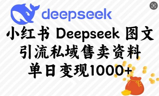 小红书Deepseek图文引流私域售卖资料，单日变现多张-59网创