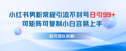 小红书男粉常规引流不封号日引99+变现简单 可矩阵可复制小白容易上手-59网创