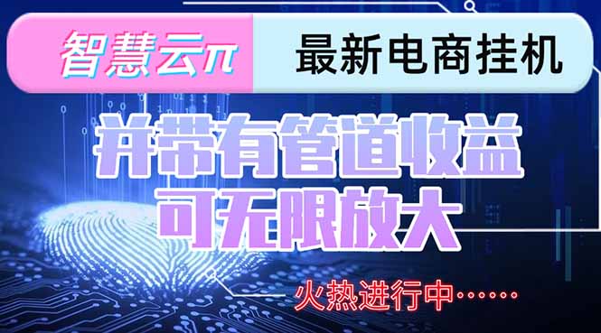 智慧云π电脑挂机单机每天收益300—500+ 并带有团队管道收益 可无限放大-59网创