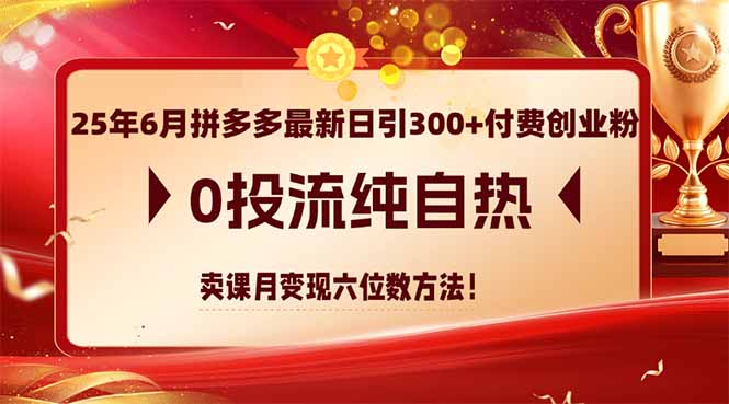 25年6月拼多多最新日引300+付费创业粉，0投流纯自热 卖课月变现六位数方法-59网创