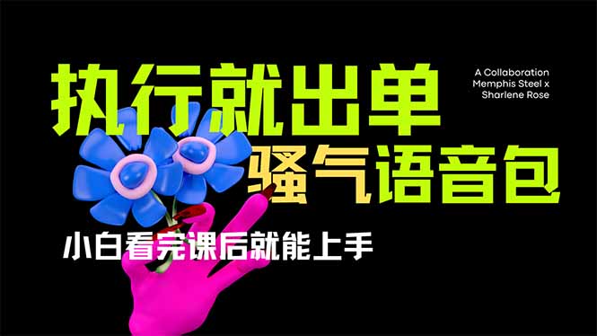 爆火全网的开车导航骚气语音包,只要执行就出单，小白看完课程就能实操...-59网创