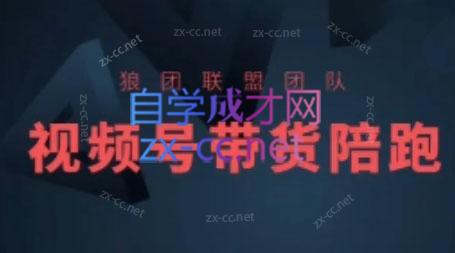 狼团联盟·2024视频号带货-59网创