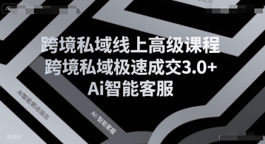 跨境私域线上高级课程，跨境私域极速成交3.0+Ai智能客服-59网创