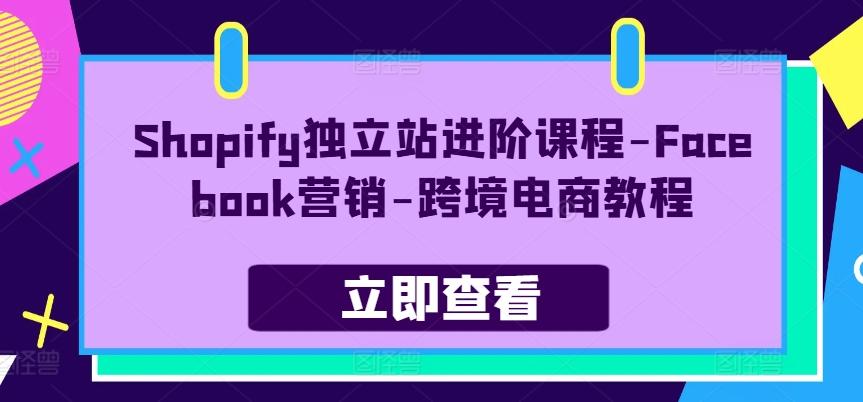 Shopify独立站进阶课程-Facebook营销-跨境电商教程-59网创