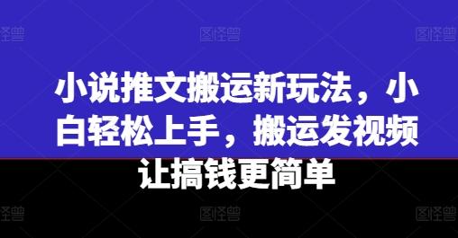 小说推文搬运新玩法，小白轻松上手，搬运发视频让搞钱更简单-59网创