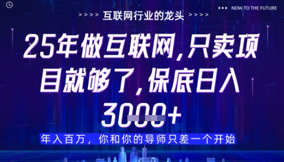 什么!25年你还在找项目做?风口早就变了,卖项目才是稳挣不赔【揭秘】-59网创
