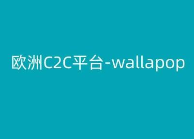 欧洲C2C平台-wallapop-kim跨境电商教程-59网创