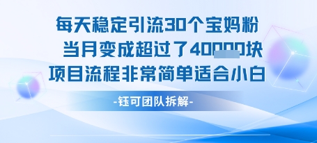 每天稳定引流30个人 当月变成超过了4个W项目流程非常简单适合小白-59网创