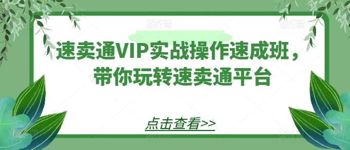 速卖通VIP实战操作速成班,带你玩转速卖通平台-59网创