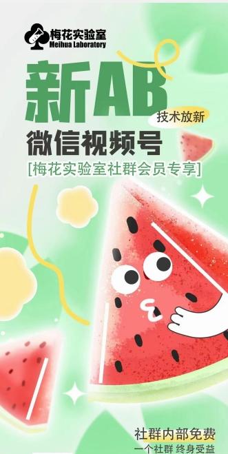 梅花实验室2024年AB技术视频号AB合成破解版-59网创