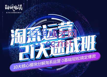 淘系运营21天速成班(更新24年6月)-59网创