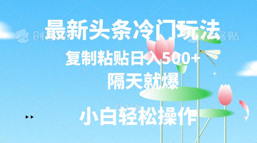 最新头条冷门玩法，隔天就爆，复制粘贴日入500+-59网创