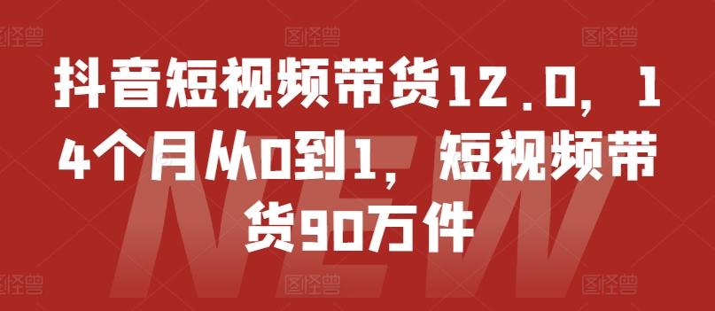 抖音短视频带货12.0，14个月从0到1，短视频带货90万件-59网创
