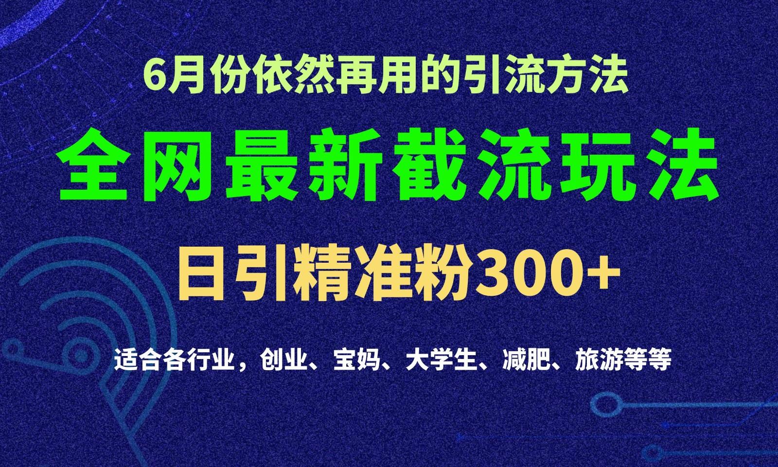 2024全网最新截留玩法,每日引流突破300+-59网创