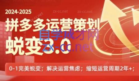 大力老师·2024拼多多运营策略蜕变3.0-59网创