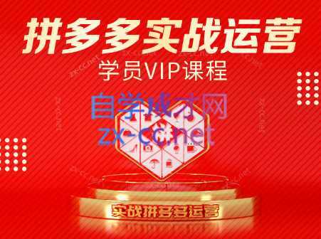 推易电商·拼多多实战运营课(更新2025月)-59网创