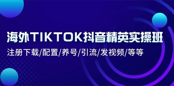 海外TIKTOK抖音精英实操班：注册下载/配置/养号/引流/发视频/等等-59网创