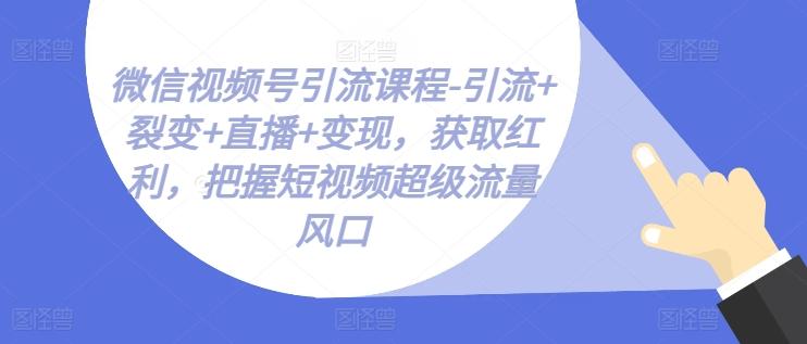 微信视频号引流课程-引流+裂变+直播+变现,获取红利,把握短视频超级流量风口