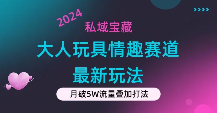 私域宝藏：大人玩具情趣赛道合规新玩法，零投入，私域超高流量成单率高-59网创