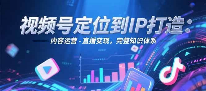 视频号定位到IP打造：账号搭建-内容运营-直播变现，完整知识体系-59网创