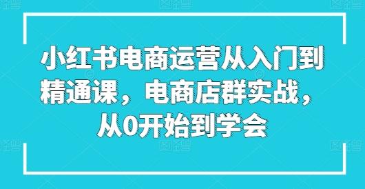 小红书电商运营从入门到精通课,电商店群实战,从0开始到学会-59网创