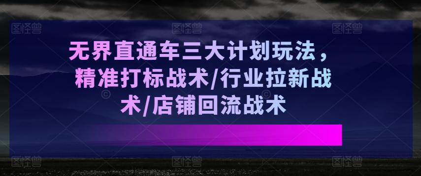 无界直通车三大计划玩法，精准打标战术/行业拉新战术/店铺回流战术-59网创
