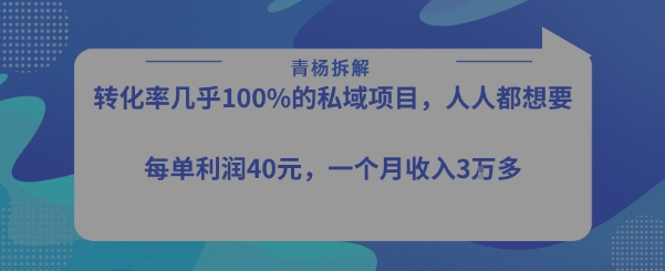 转化率最高的私域项目，每单利润40-50米，月入过1w-59网创