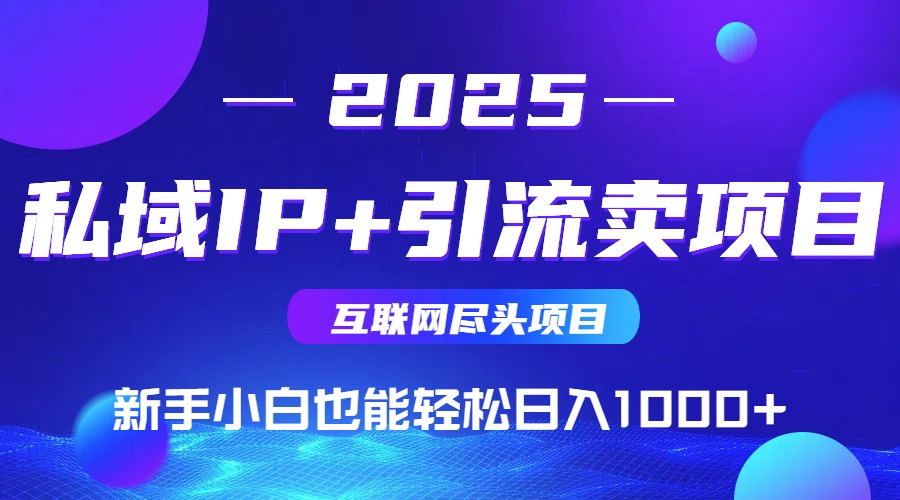 2025网创尽头项目，私域IP+引流，新手小白也能在家日入1000+-59网创